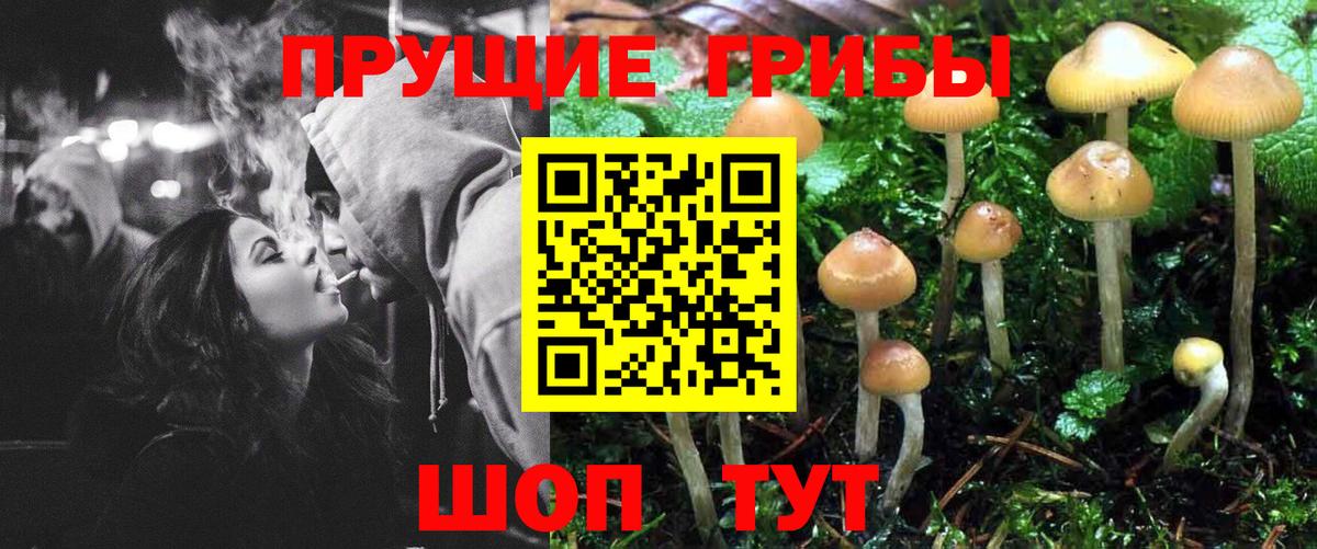 Галлюциногенные грибы мухоморы  Галлюциногенные грибы Psilocybe  Волгодонск  Вход с VPN 